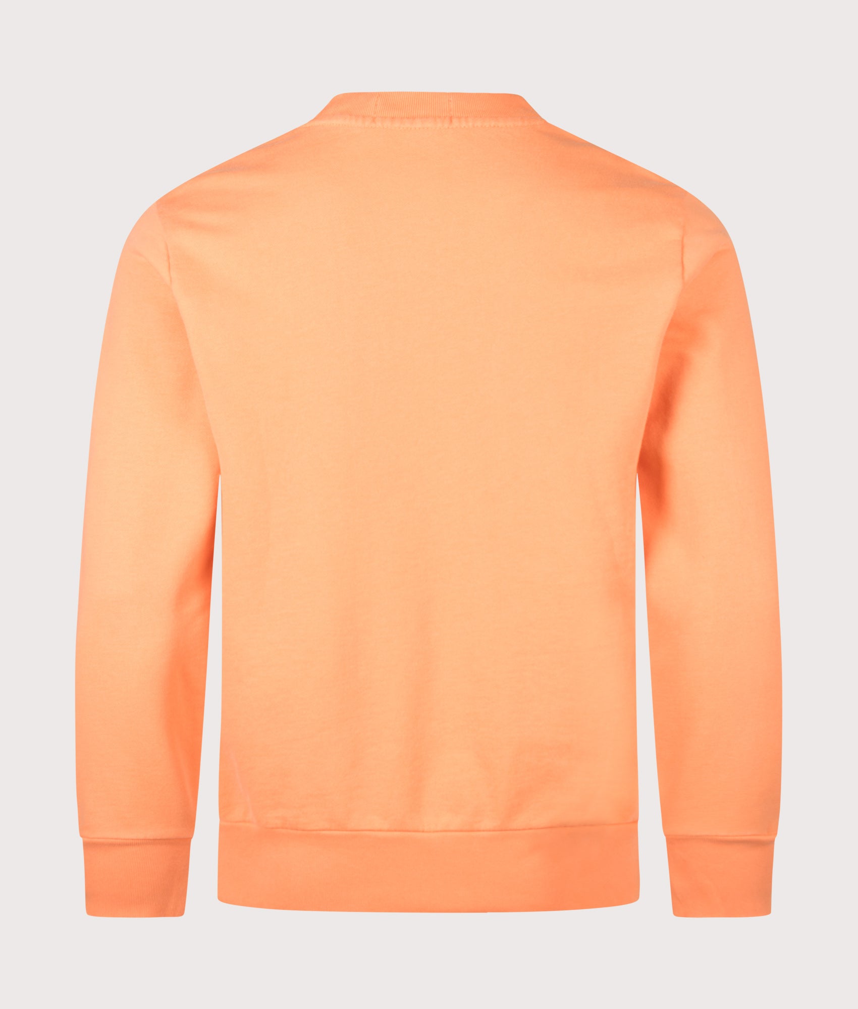 Loopback Terry Sweatshirt in Pompano Orange by Polo Ralph Lauren. Shot by EQVVS. Back shot.