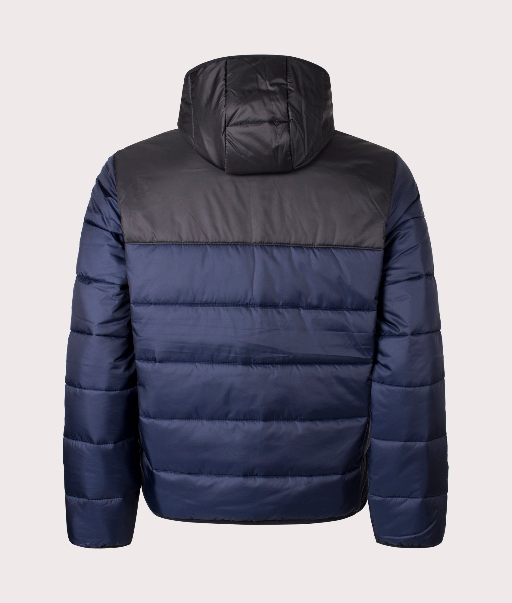 Lacoste Padded Hooded Jacket in Navy Blue and Black at EQVVS. Back  Shot