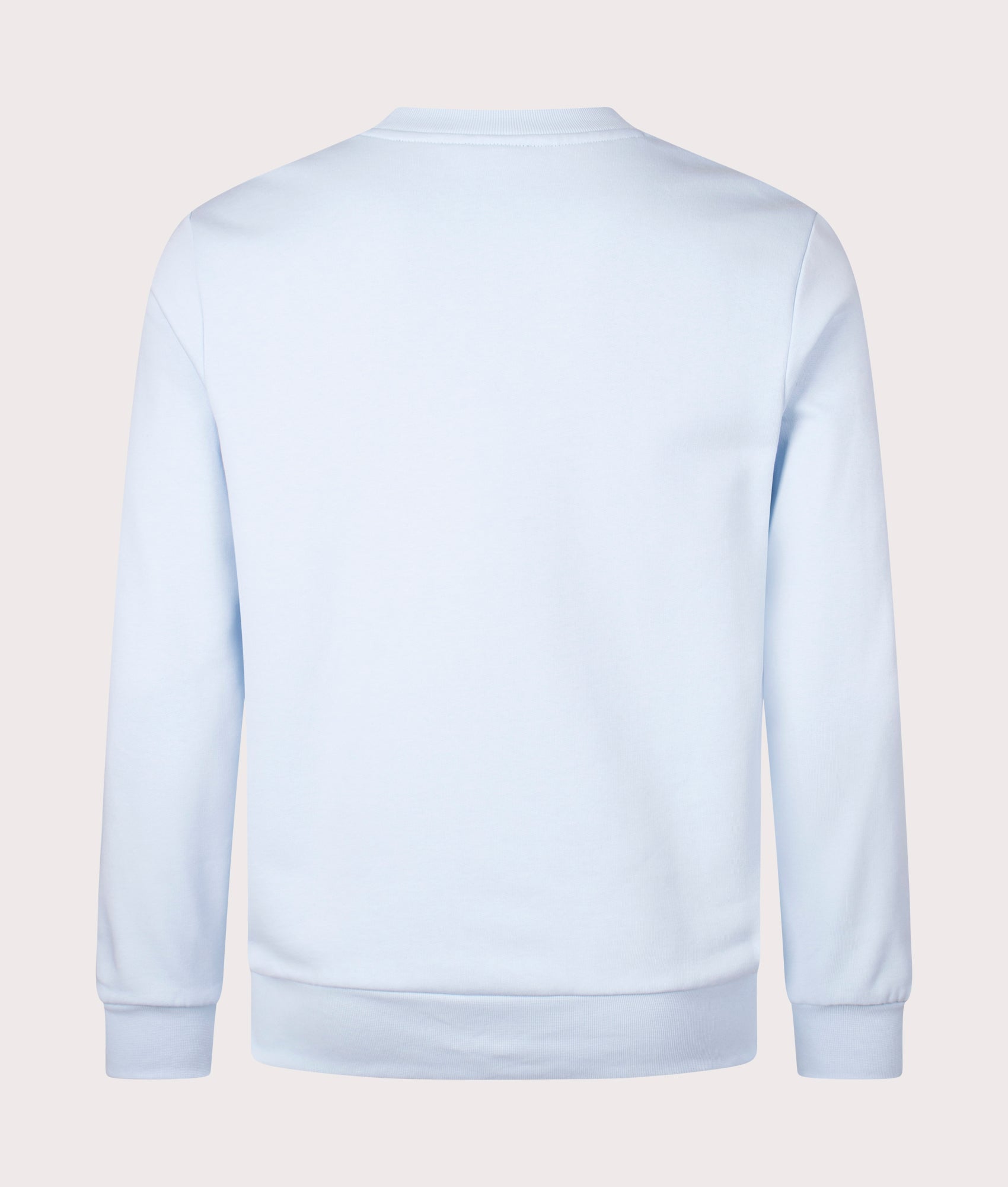 Lacoste Relaxed Fit Organic Brushed Cotton Sweatshirt in Rill. Shot at EQVVS. Back shot