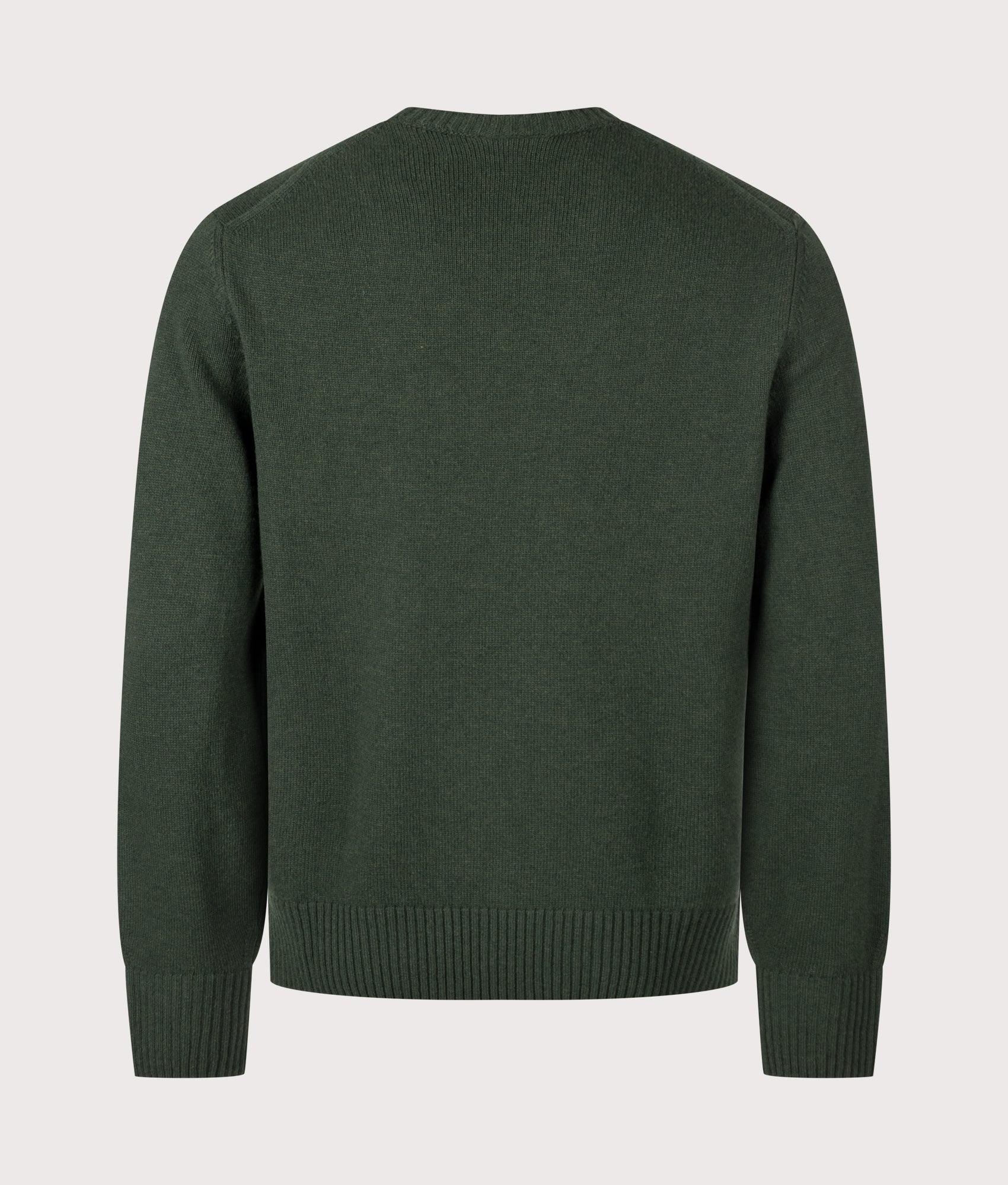 Lacoste Classic Fit Wool Crewneck Jumper in Sinople Green at EQVVS Menswear. Back shot.