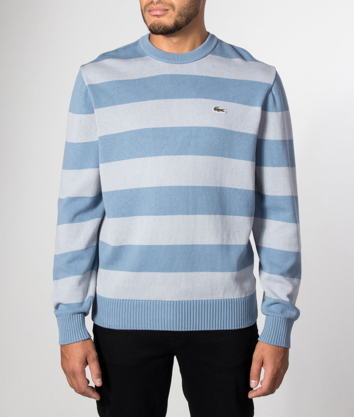 Lacoste Classic Fit Long Sleeve Knitted Jumper in Aral and Shell Grey at EQVVS Menswear. Model front shot.