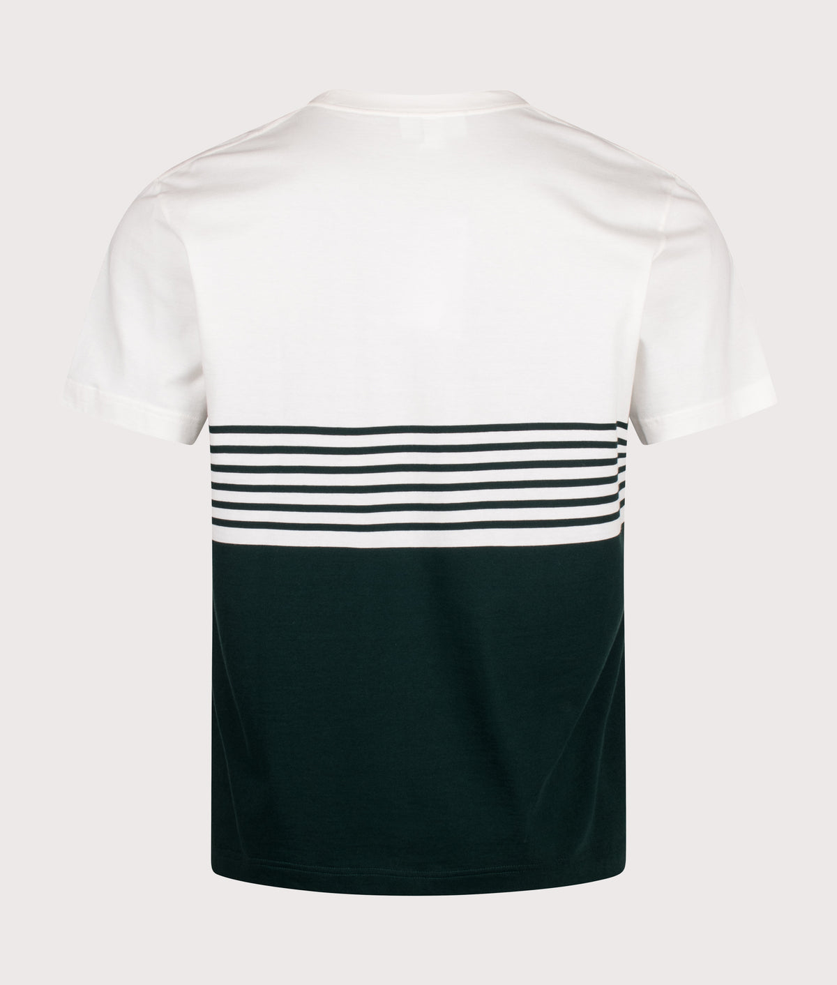 Lacoste Regular Fit Striped Colour Block T-Shirt in Flour and Sinople at EQVVS Menswear. Back shot.