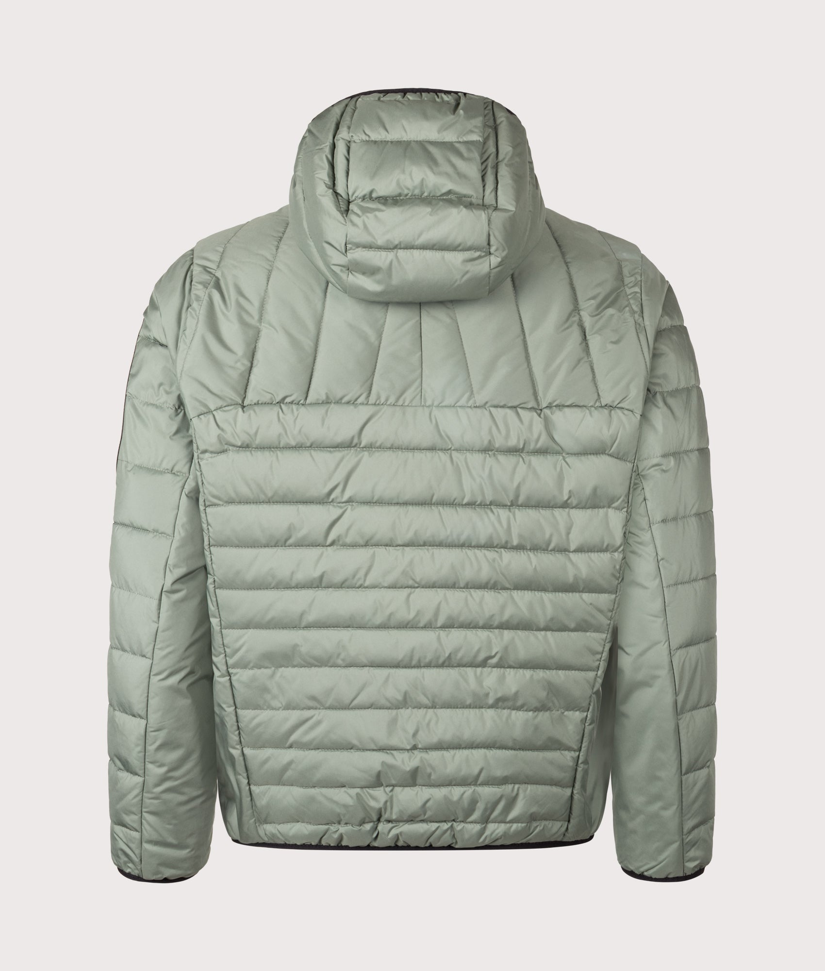 Urbanex Hooded Jacket in Open Green | BOSS | EQVVS | Back shot 