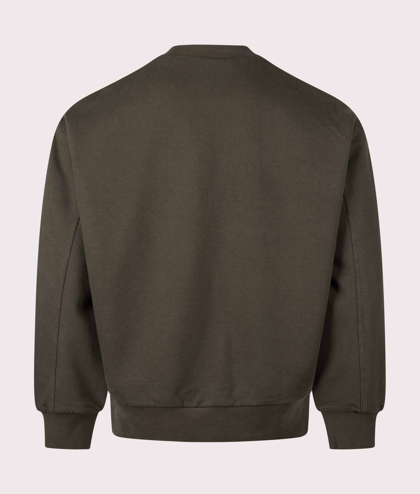 Oversized Detroit Sweatshirt in Olive | Carhartt WIP | EQVVS | Back shot 