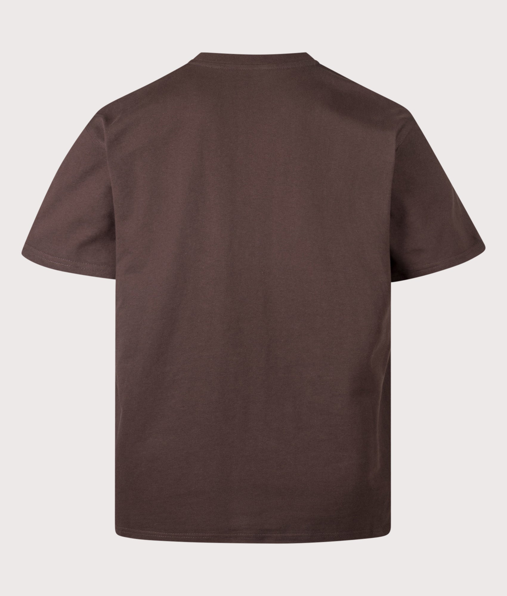 Carhartt WIP Loose Fit American Script T-Shirt in Palisander at EQVVS Menswear. Back shot.