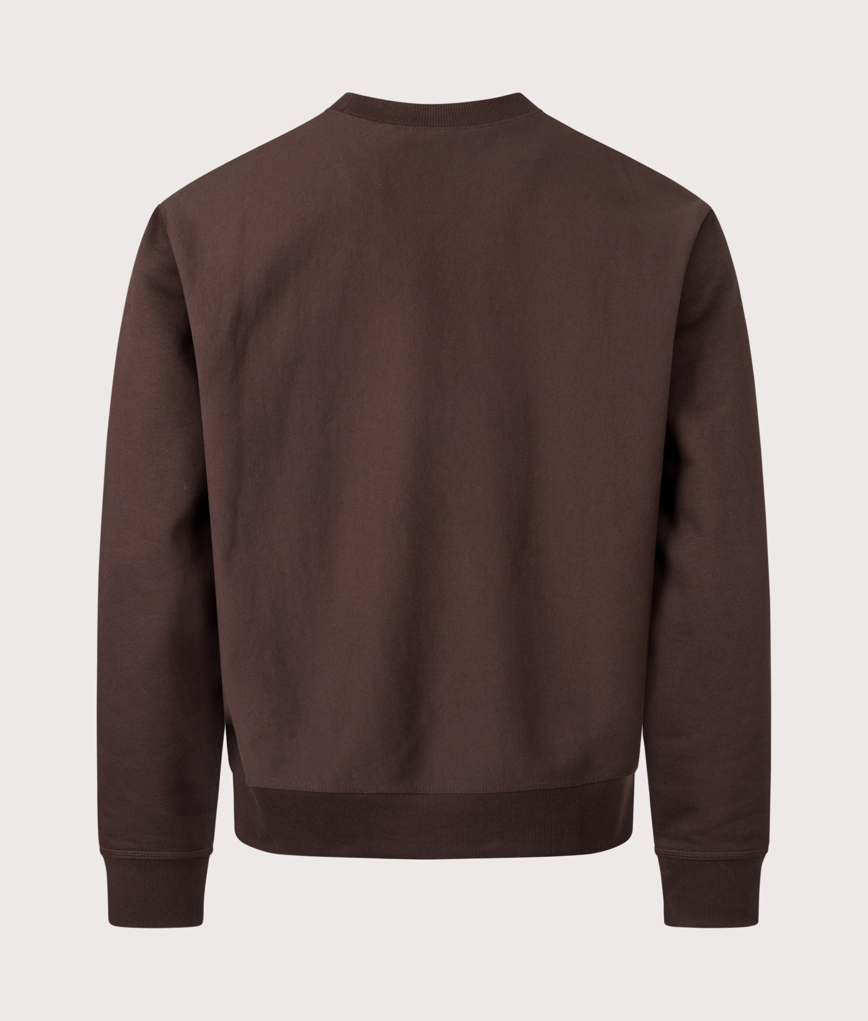 Relaxed Fit American Script Sweatshirt in Palisander | Carhartt WIP | EQVVS | Back shot 