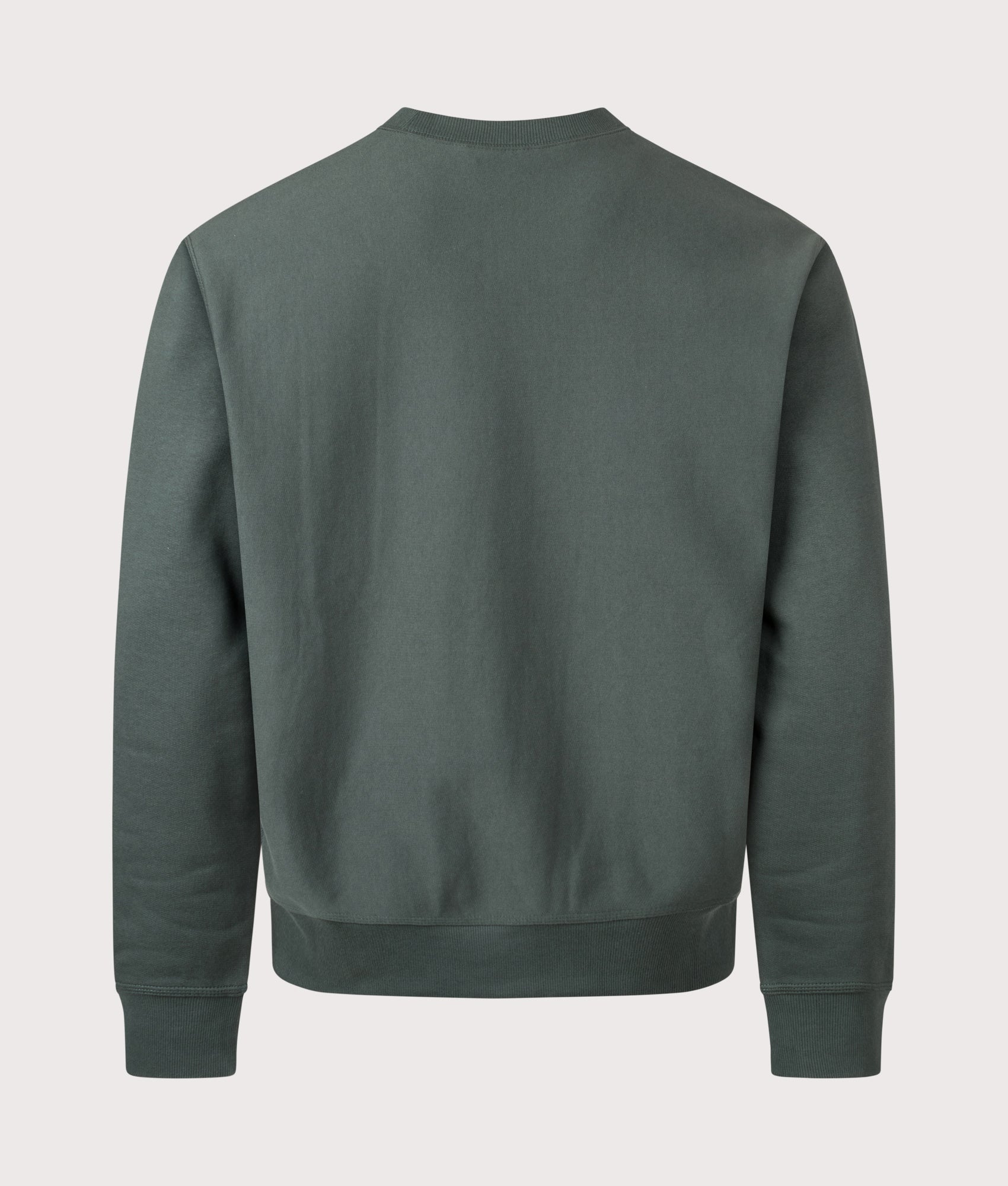 Relaxed Fit American Script Sweatshirt in Kale Green | Carhartt WIP | EQVVS | Back shot 