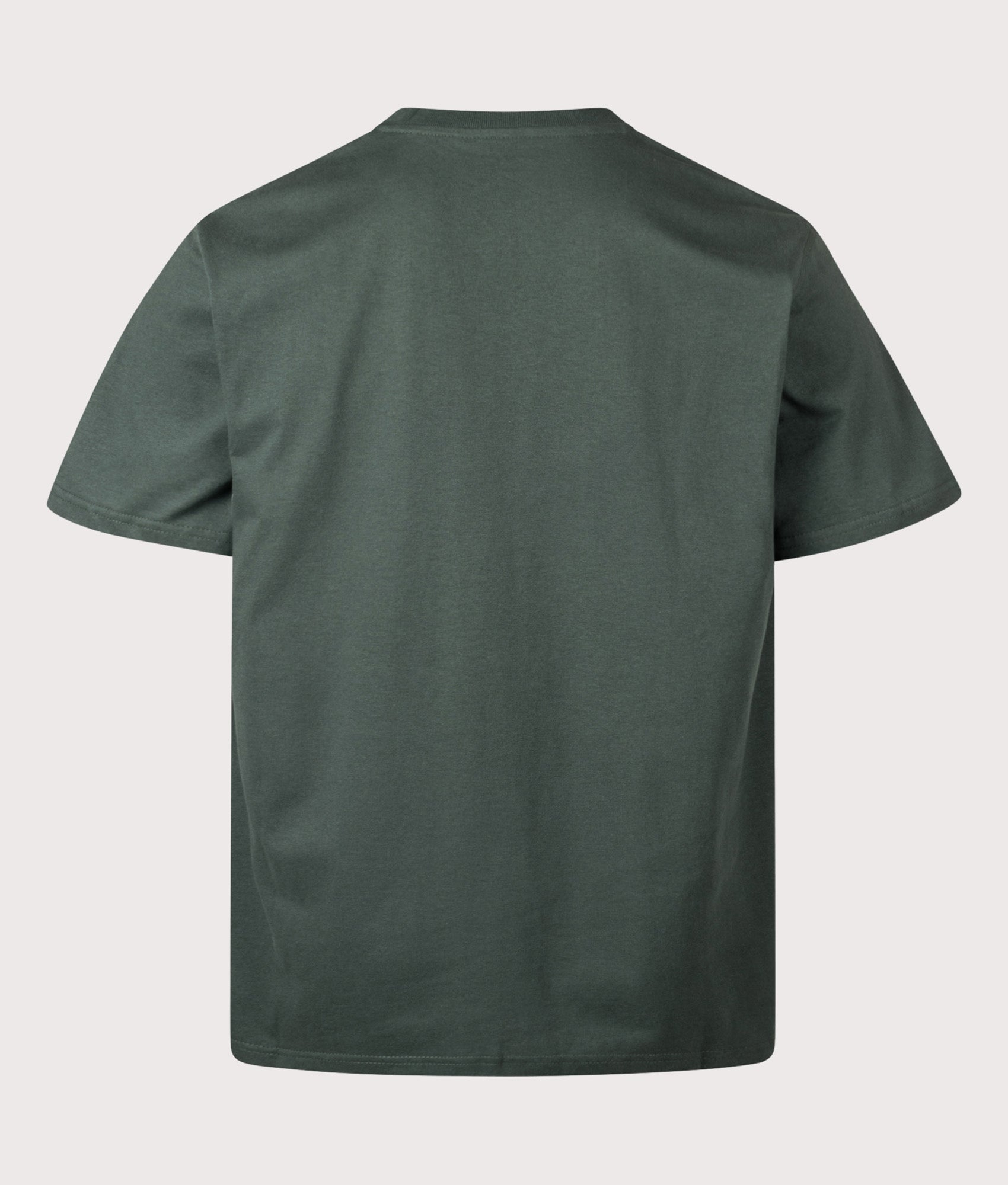 Carhartt WIP Loose Fit American Script T-Shirt in Kale Green at EQVVS Menswear. Back shot.