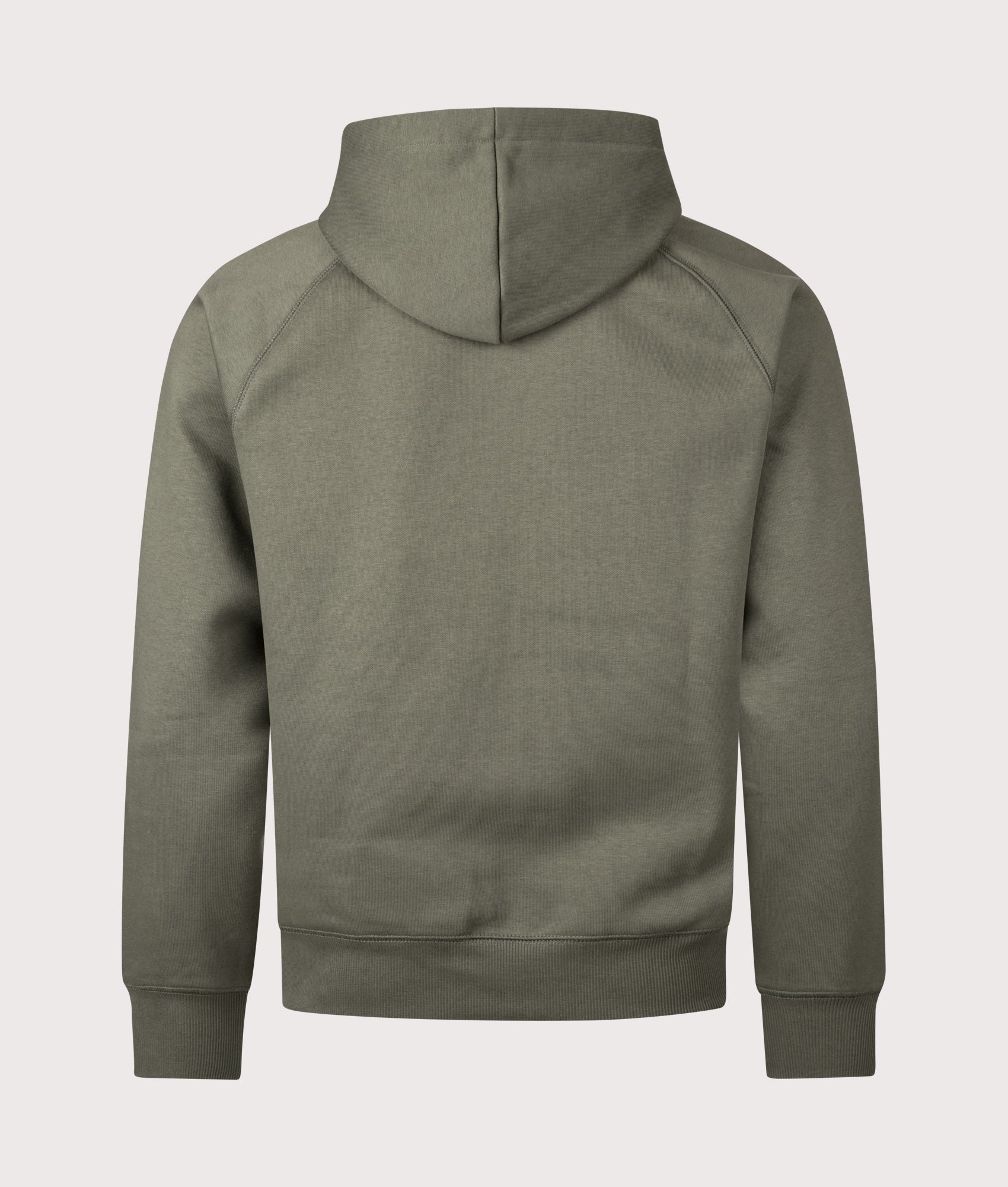 Carhartt WIP Chase Hoodie in Leaf and Gold at EQVVS Menswear. Back shot.