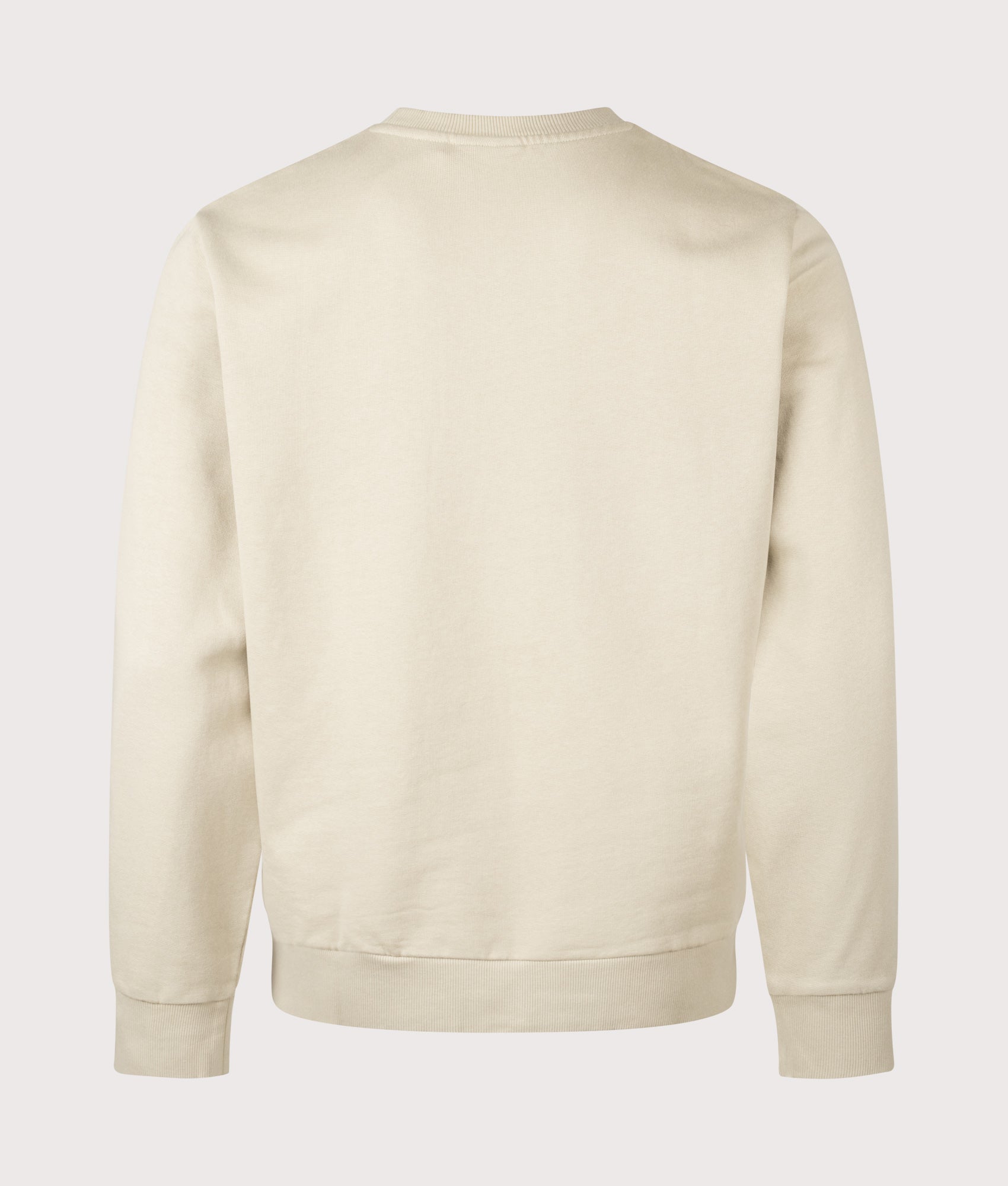 Carhartt WIP Script Embroidery Sweatshirt in Barchan and White at EQVVS Menswear. Back shot.