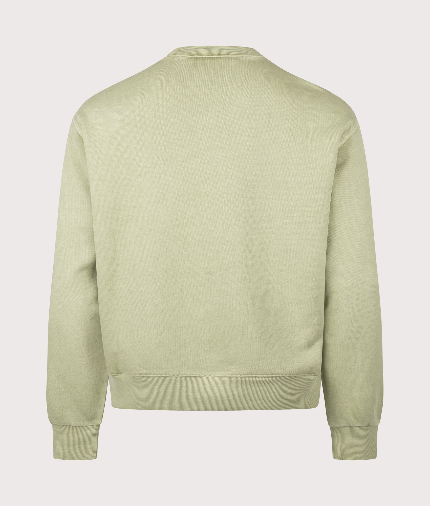 Carhartt WIP Oversized Nelson Sweatshirt in Gentle Green at EQVVS Menswear. Back shot.