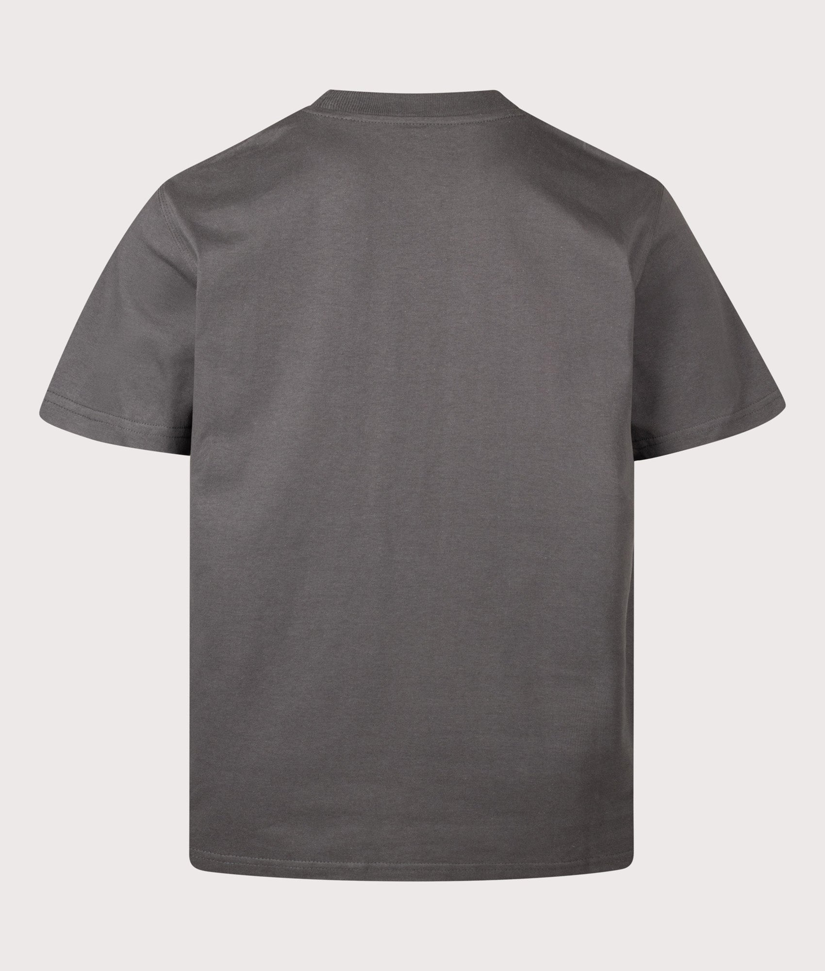 Carhartt WIP Loose Fit American Script T-Shirt in Graphite at EQVVS Menswear.  Back shot.