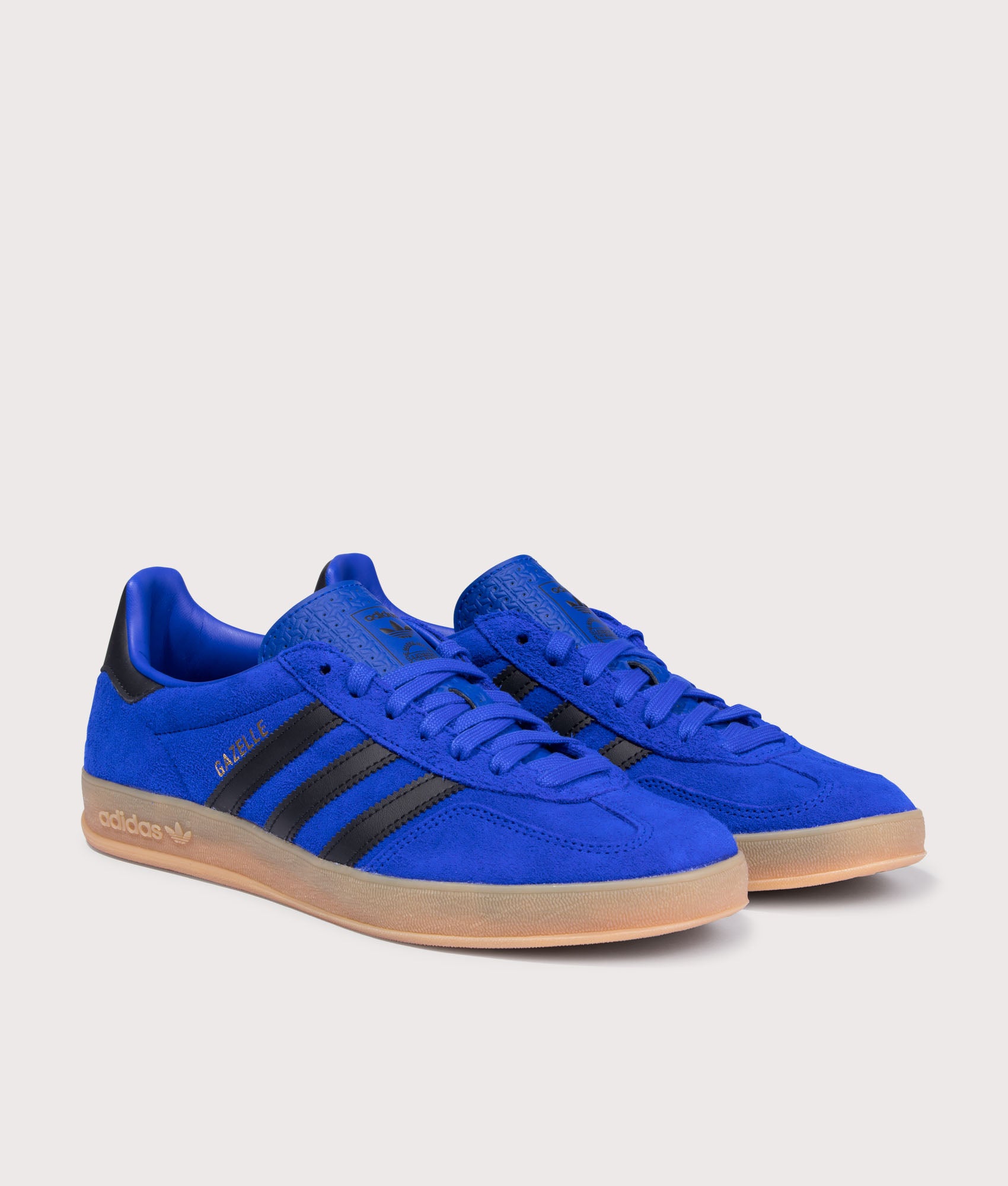 Gazelle Indoor Trainers. Shot by EQVVS. Front angled shot.