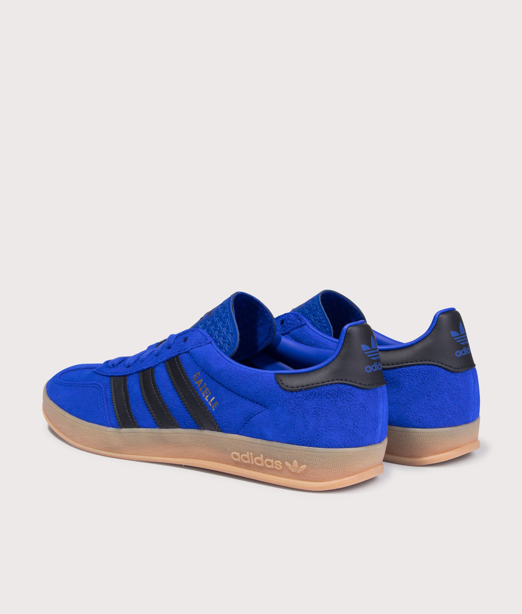 Gazelle Indoor Trainers. Shot by EQVVS. Back shot.