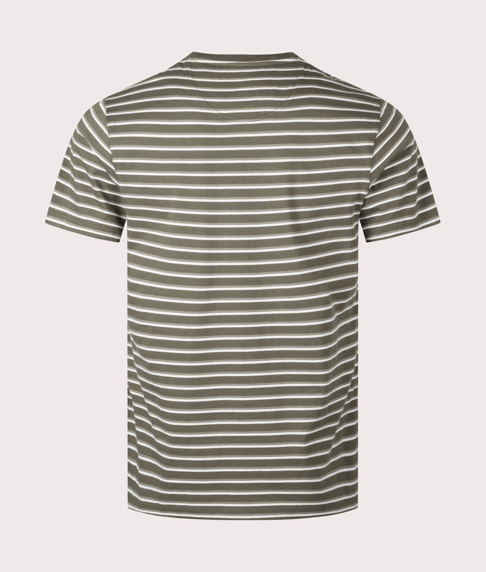 Barbour Lifestyle Ponte Stripe T-Shirt in Pale Sage, 100% Cotton Back Shot at EQVVS