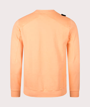 MA.Strum Core Crew Sweatshirt in Peach orange, 100% Cotton Back Shot at EQVVS