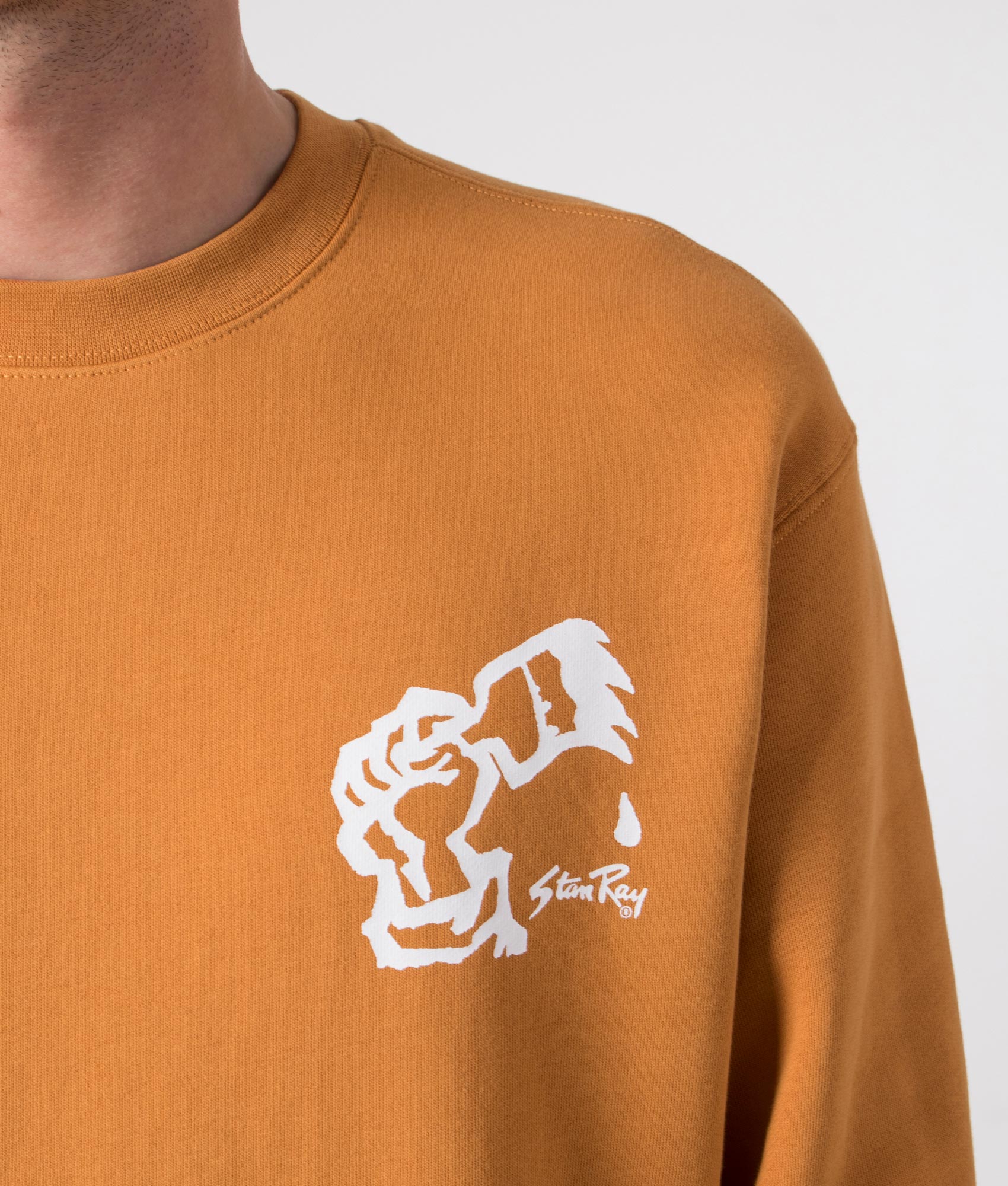 Solidarity Crew Sweatshirt, Stan Ray, Texan Gold, EQVVS, Detail