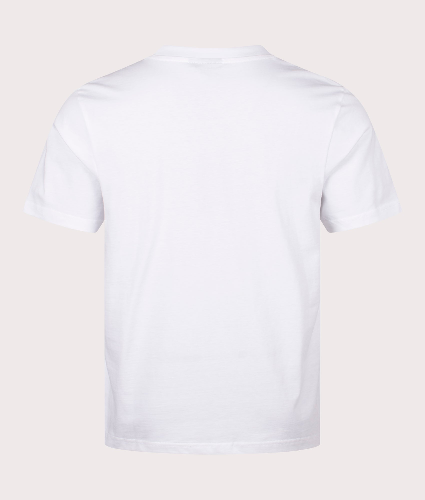 Double Bubble T-Shirt in White by Stan Ray. EQVVS Back Angle Shot.