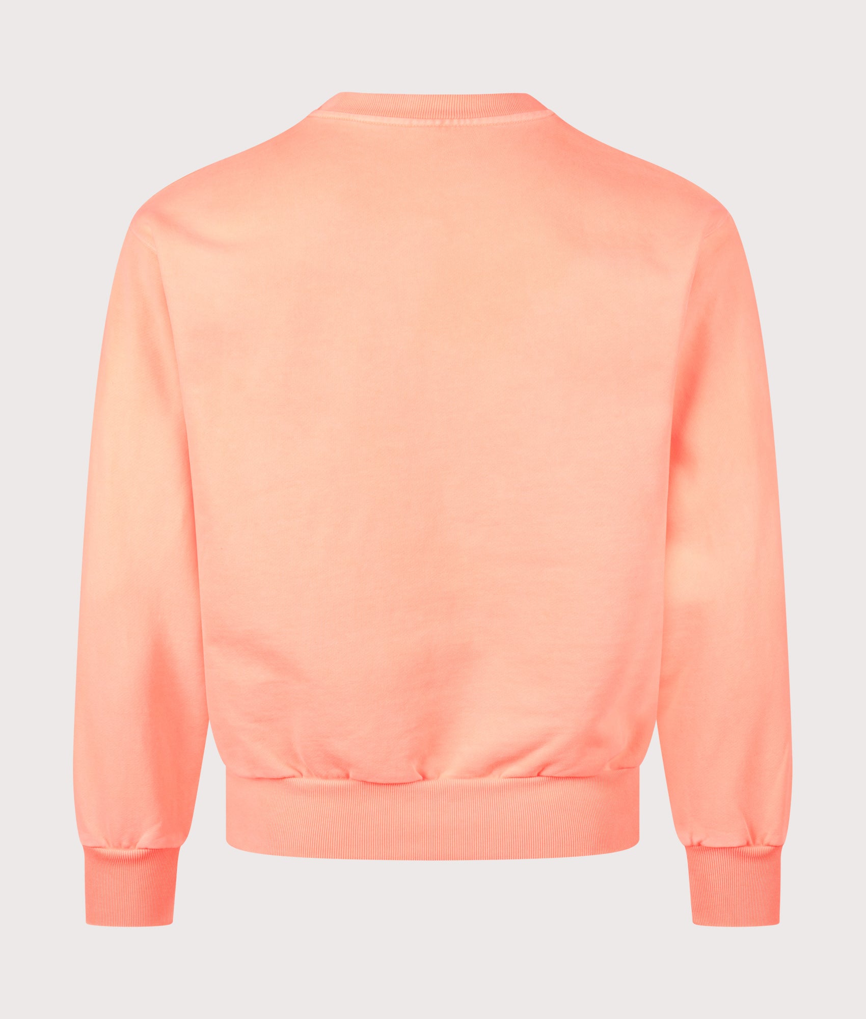 No Problemo Mini Problemo Sweatshirt  in Coral at EQVVS Menswear. Back shot.