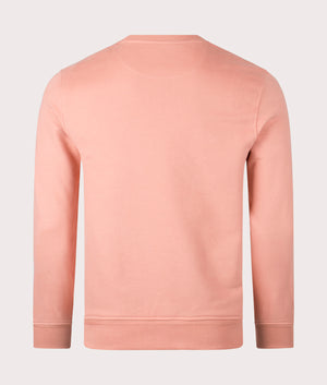 Belstaff Sweatshirt in rust pink back shot at EQVVS