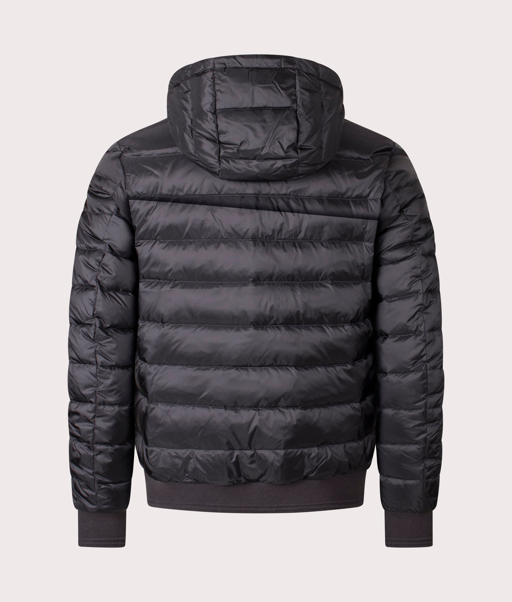 Control Jacket in Black.  | Bestaff | Shot at EQVVS | Back shot 