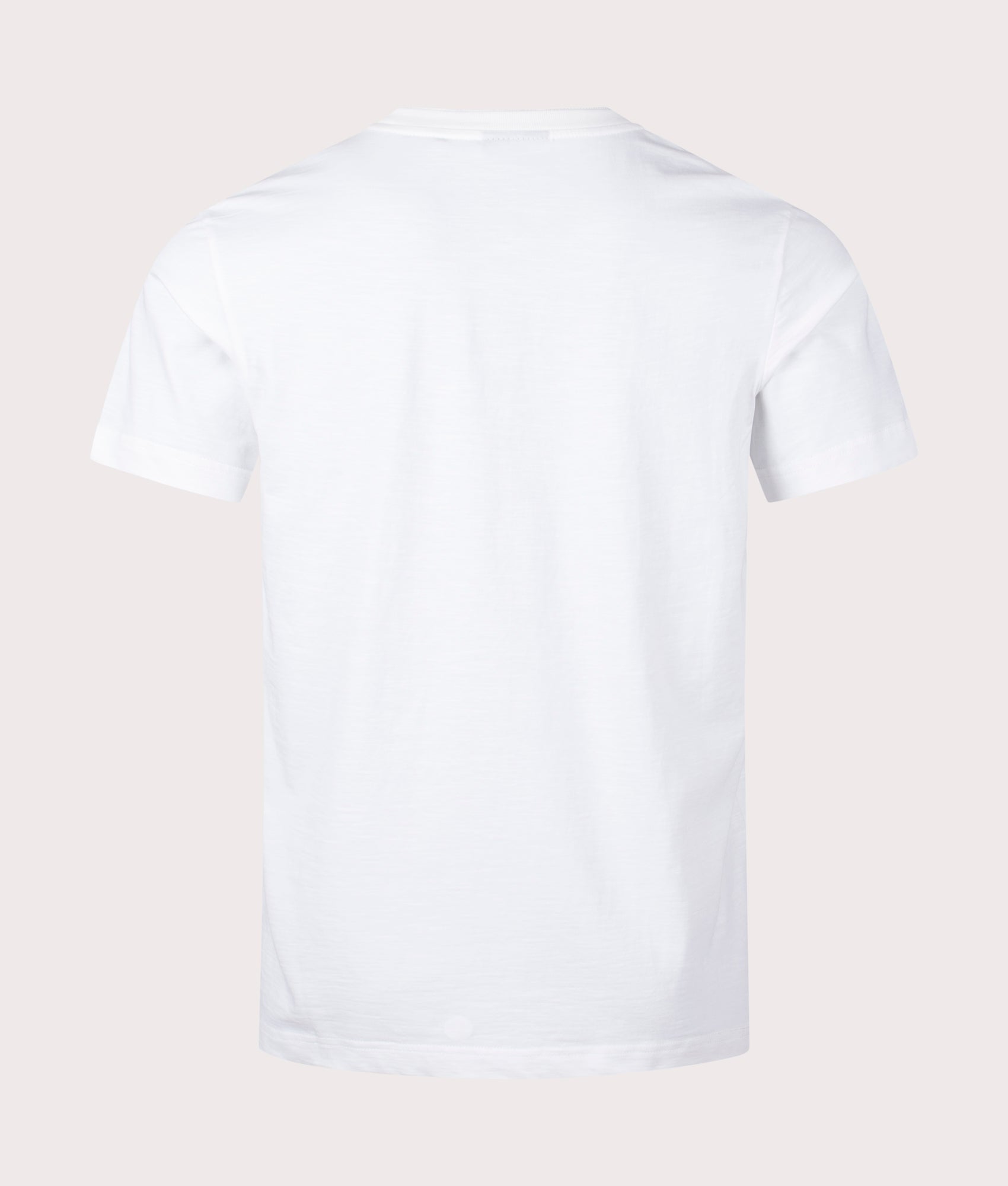 Broad Zebra T-Shirt White, PS Paul Smith, EQVVS, Mannequin back 