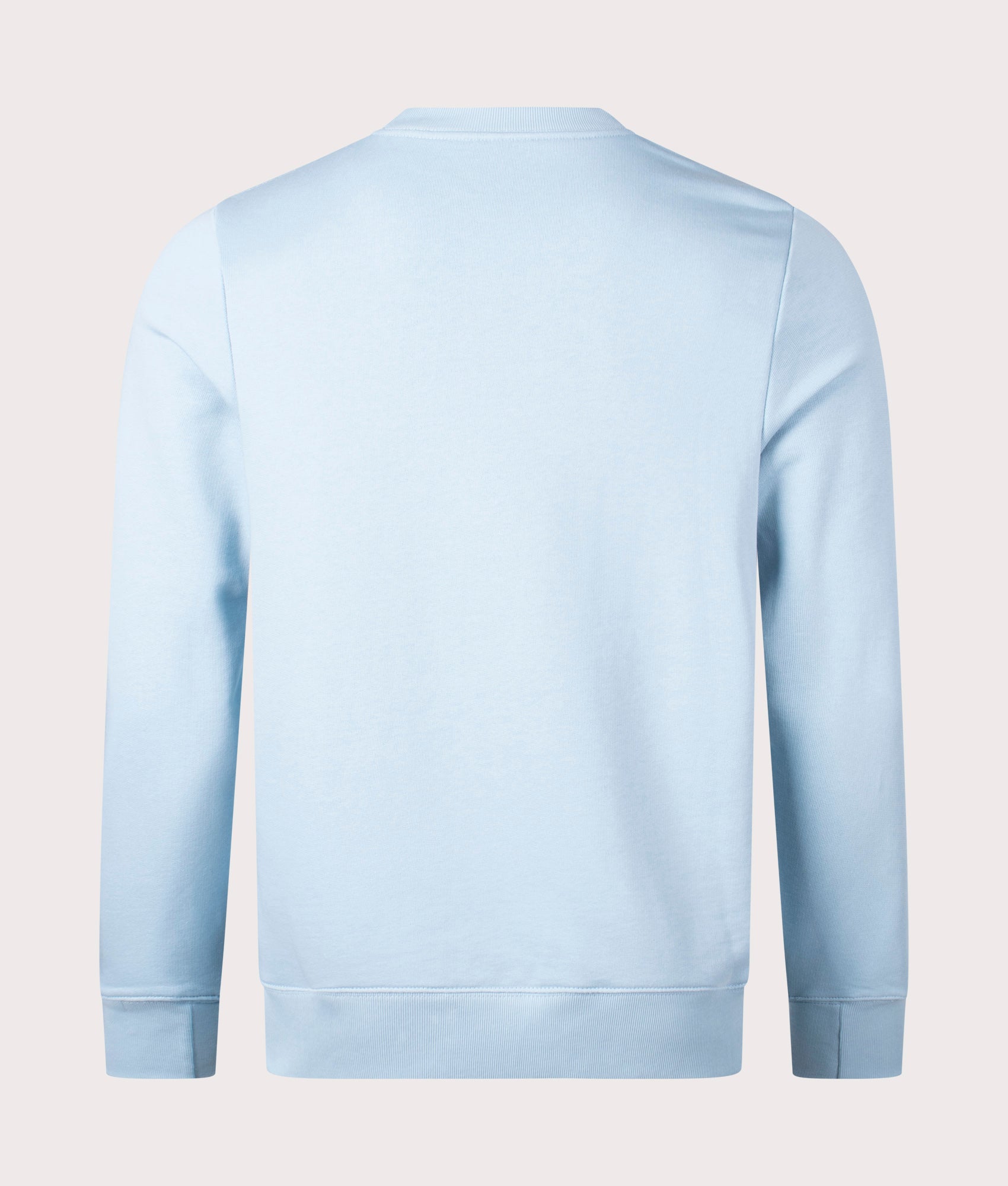 Zebra Badge Sweatshirt Light Blue, PS Paul Smith, EQVVS, Mannequin back shot