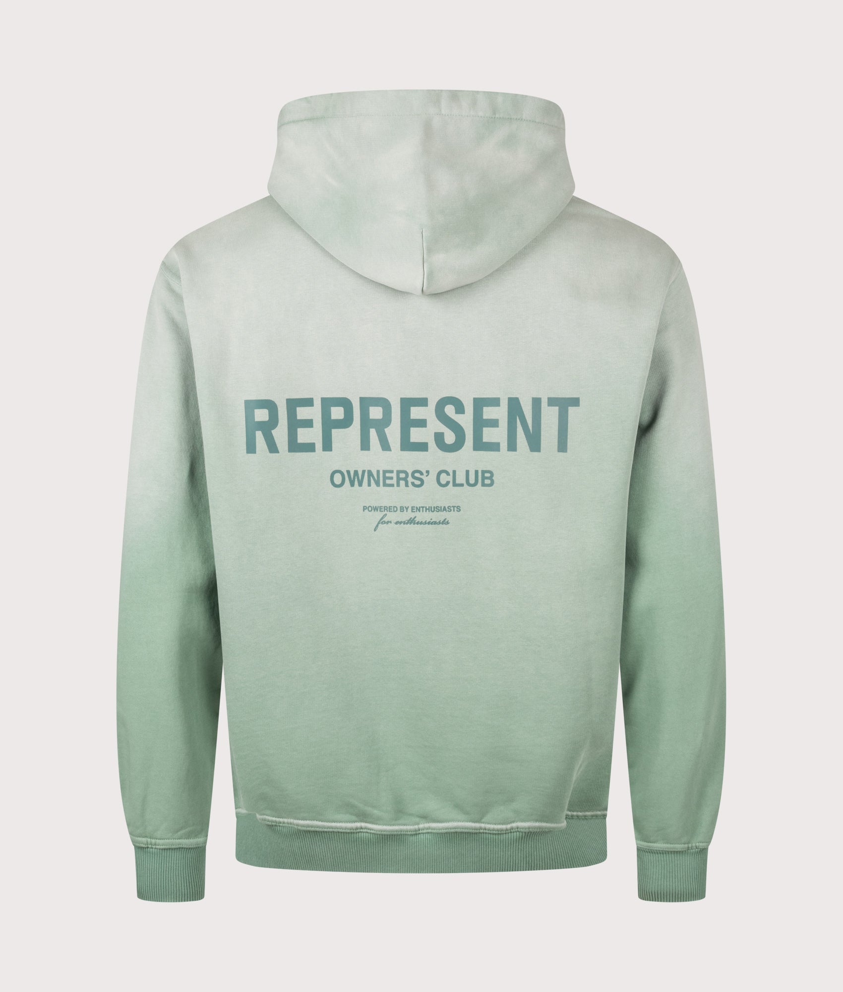 Represent Oversized Fit Represent Owners Club Hoodie in Washed Aloe at EQVVS Menswear. Back shot.