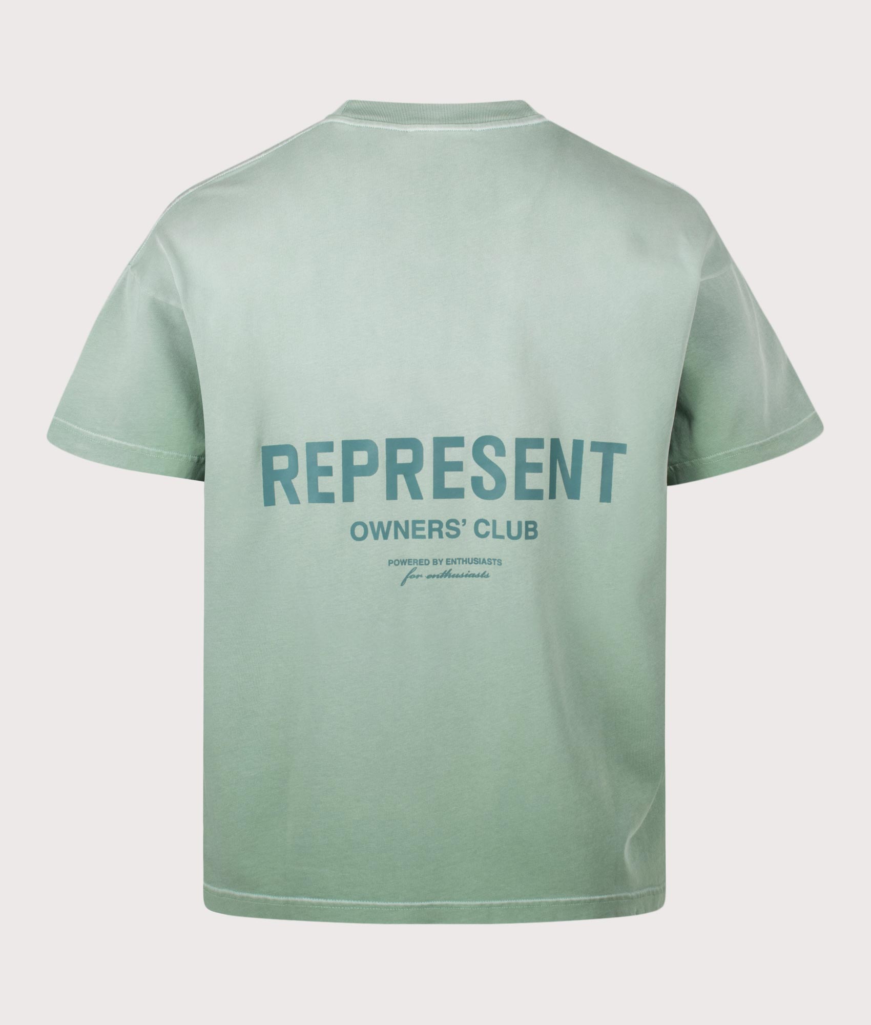 Represent Oversized Fit Represent Owners Club T-Shirt in Washed Aloe at EQVVS Menswear. Back shot.