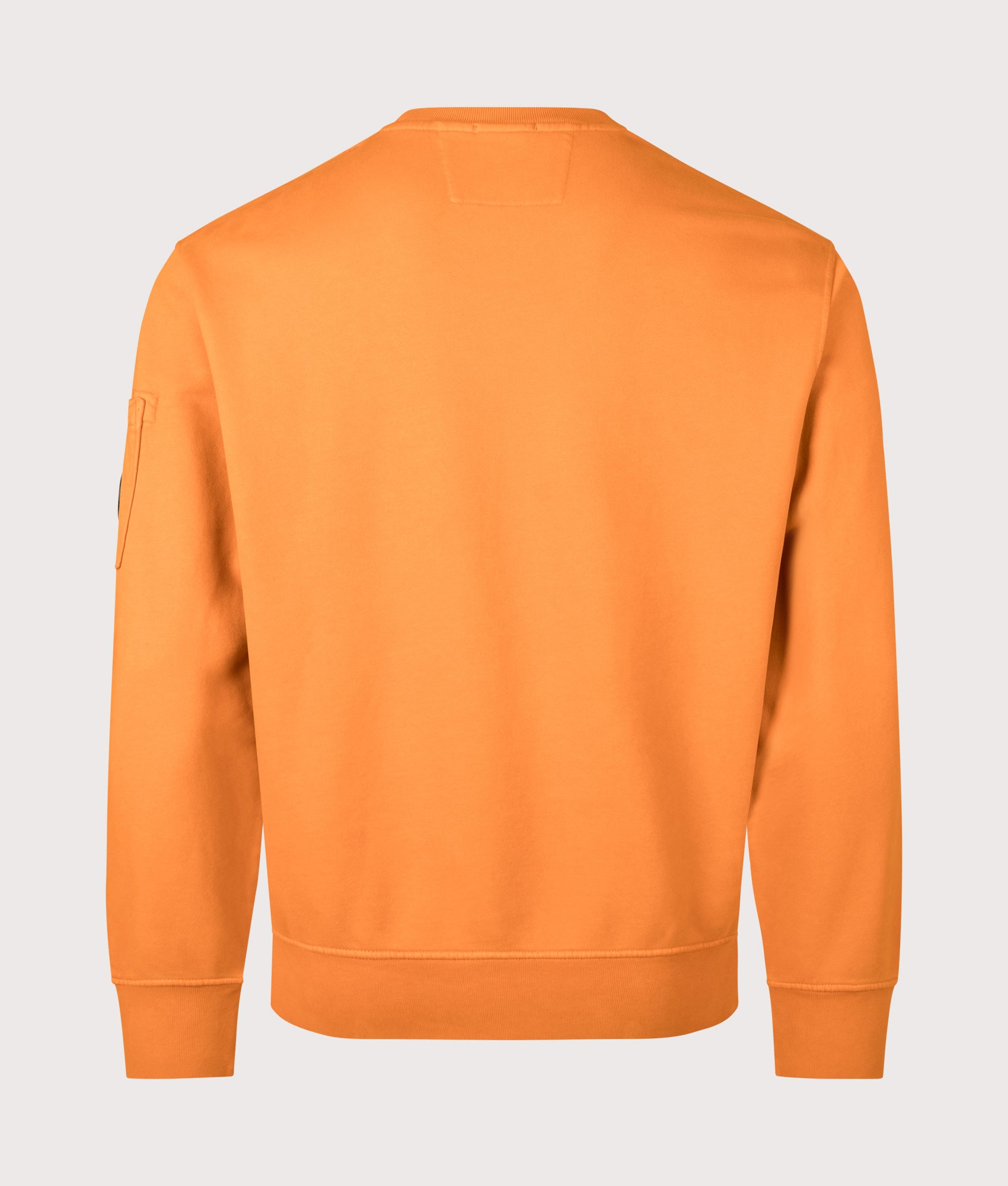 Diagonal Fleece Crewneck Lens Sweatshirt. Shot by EVVS. Back shot.