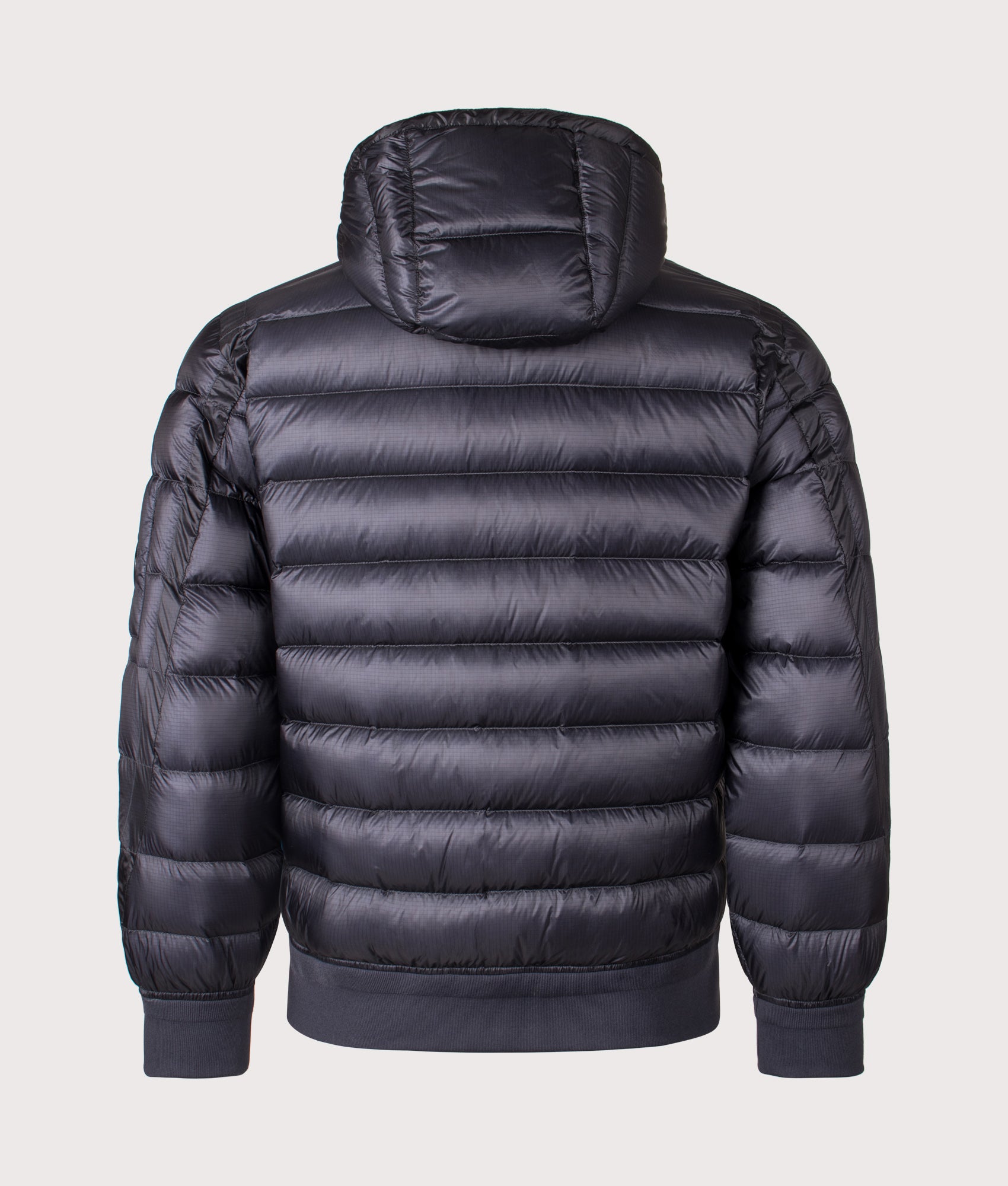 D.D. Shell Hooded Down Jacket. Shot by EQVVS. Back shot.