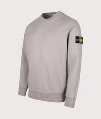 Organic Cotton Fleece Sweatshirt: V0060 Gray 