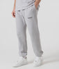 REPRESENT Owners Club Joggers in Ash Grey at EQVVS Menswear. Model video.