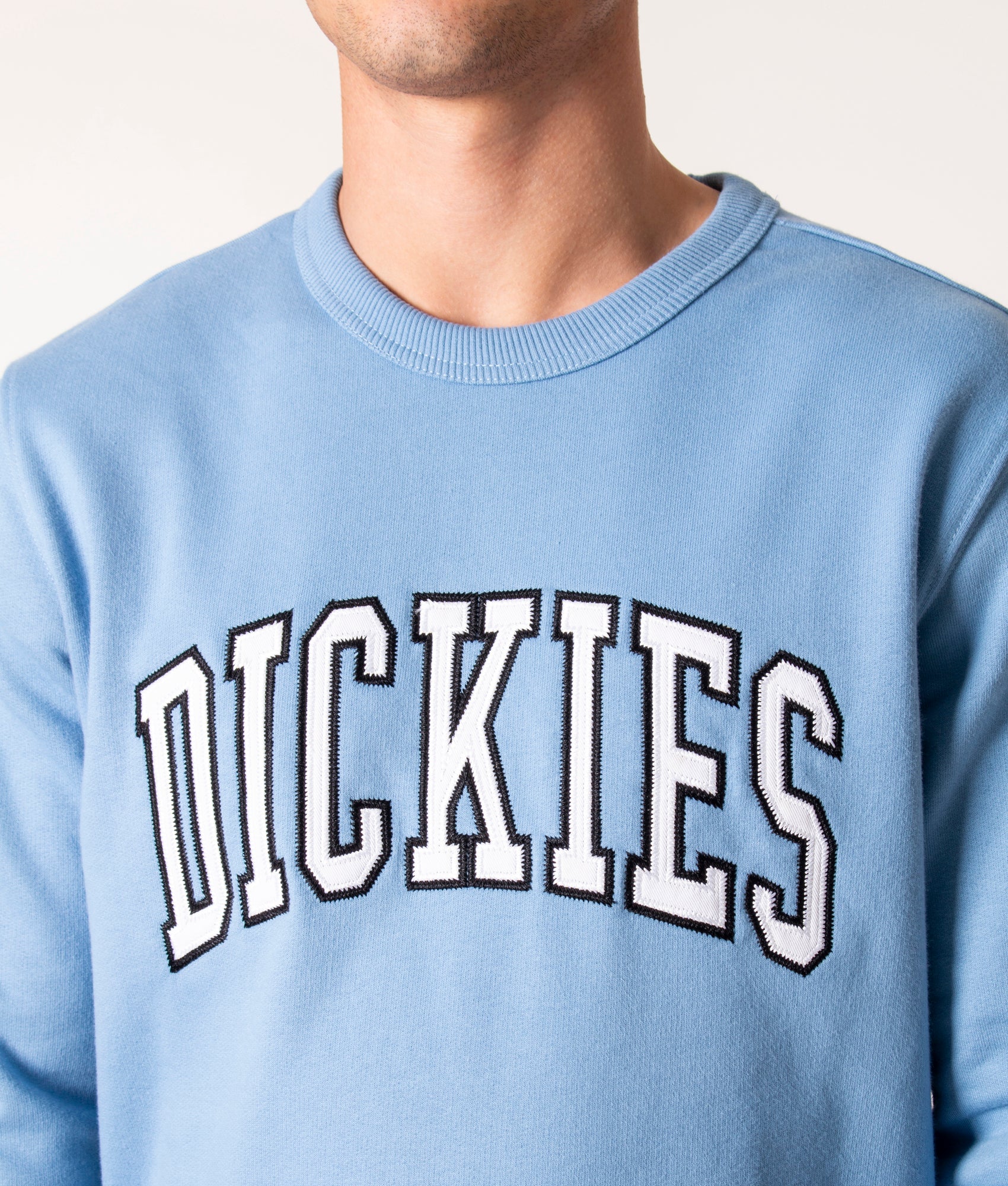 Aitkin-Sweatshirt-Allure-Dickies-EQVVS