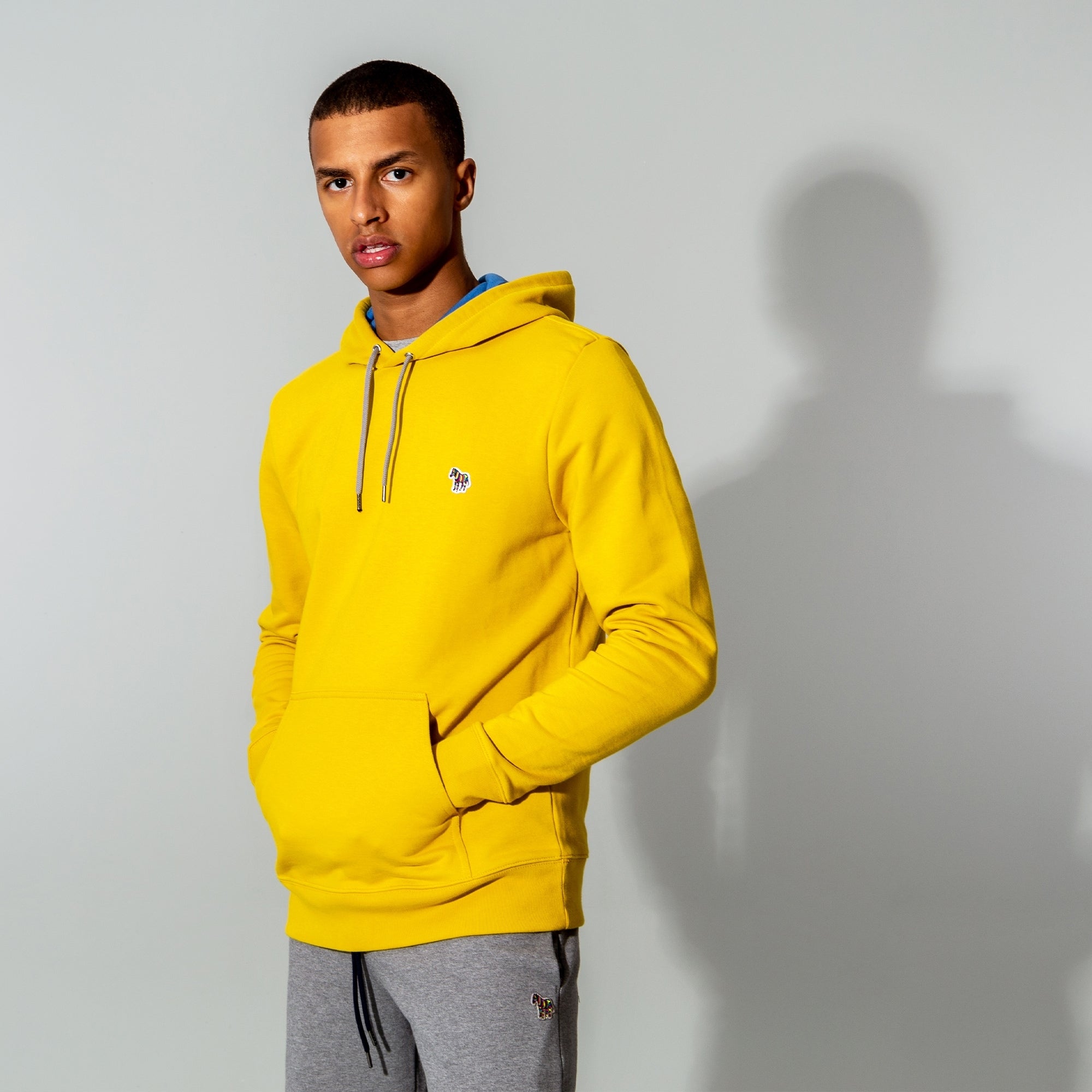 Regular Fit Zebra Logo Hoodie