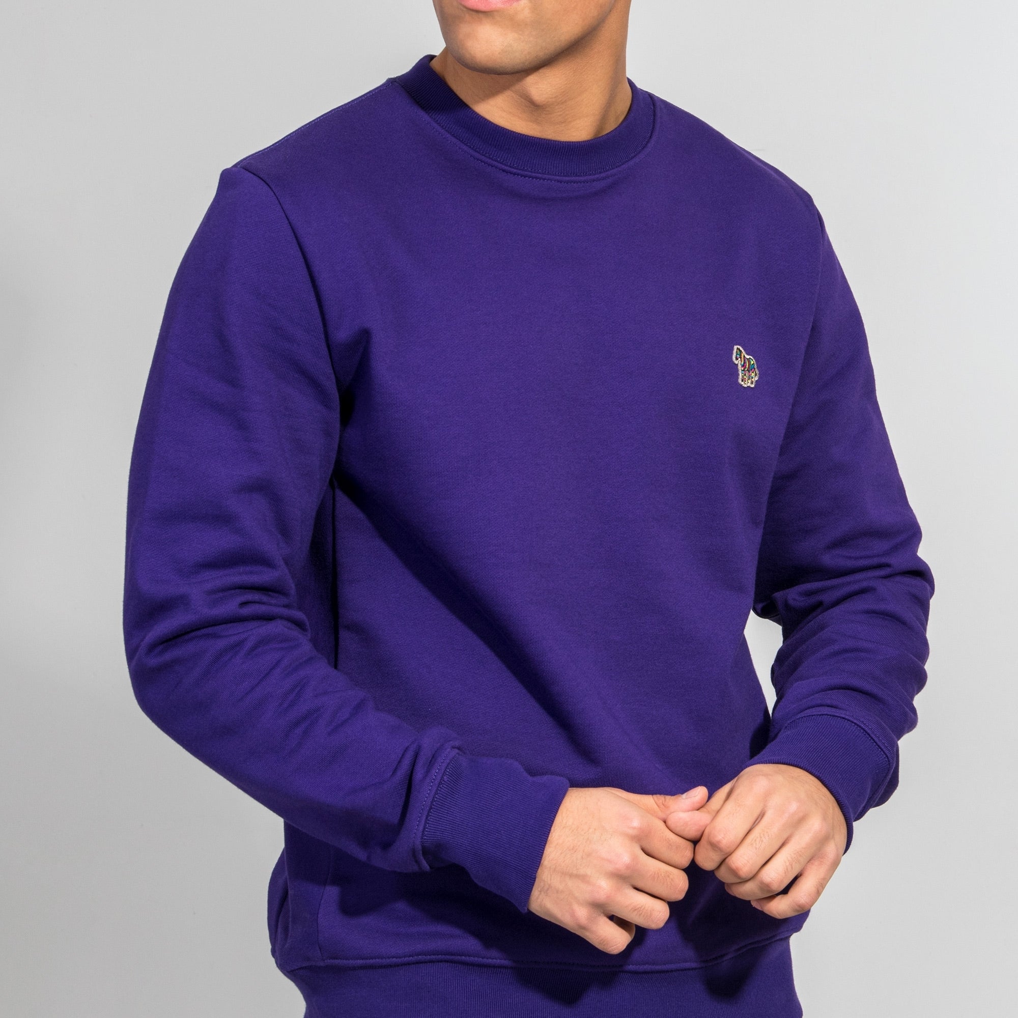 Regular Fit Zebra Sweatshirt
