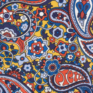 Paisley Print Swim Shorts
