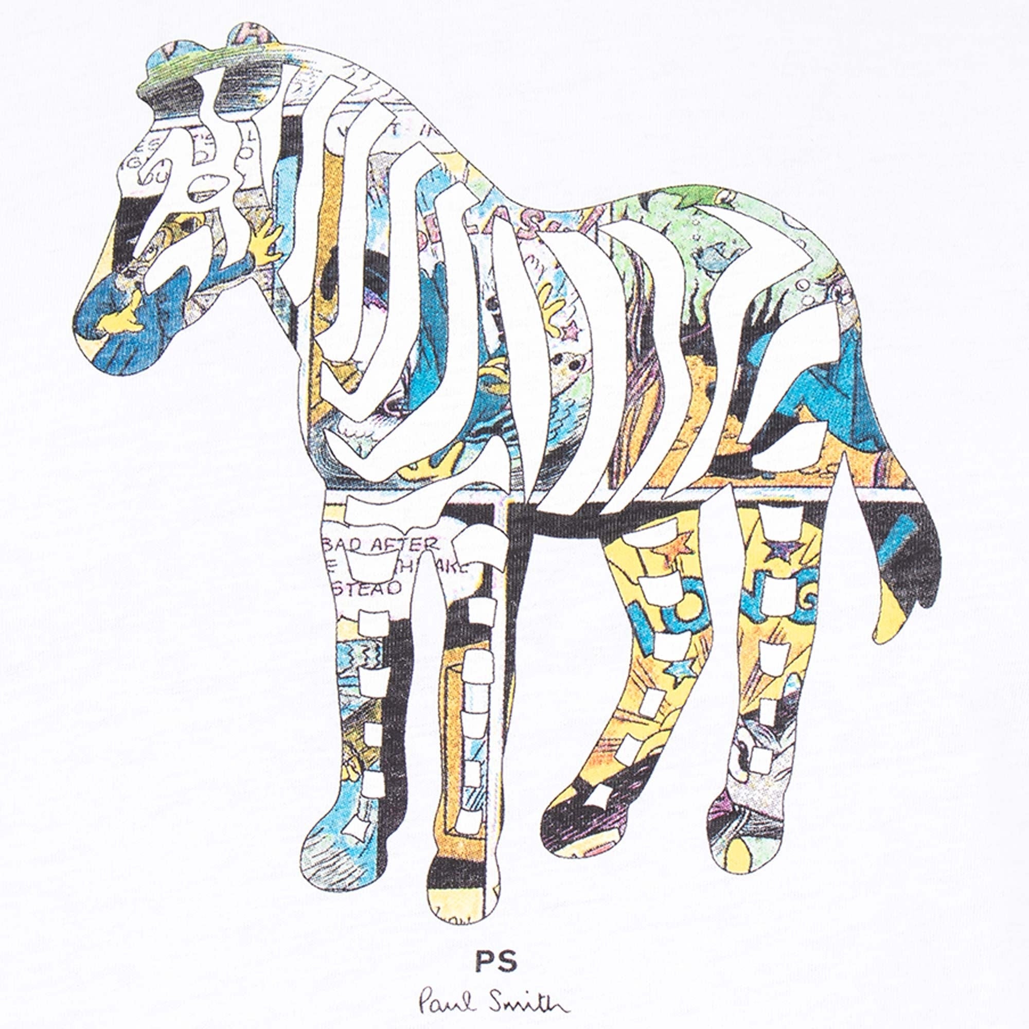 Regular Fit Multi Zebra T-Shirt