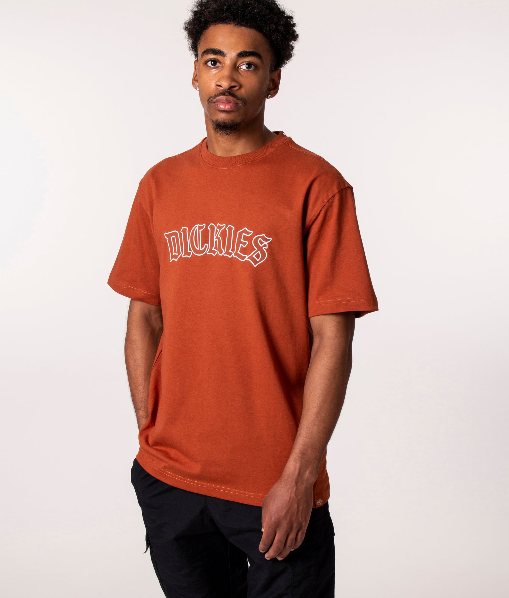 Relaxed-Fit-Union-Springs-T-Shirt-Gingerbread-Dickies-EQVVS