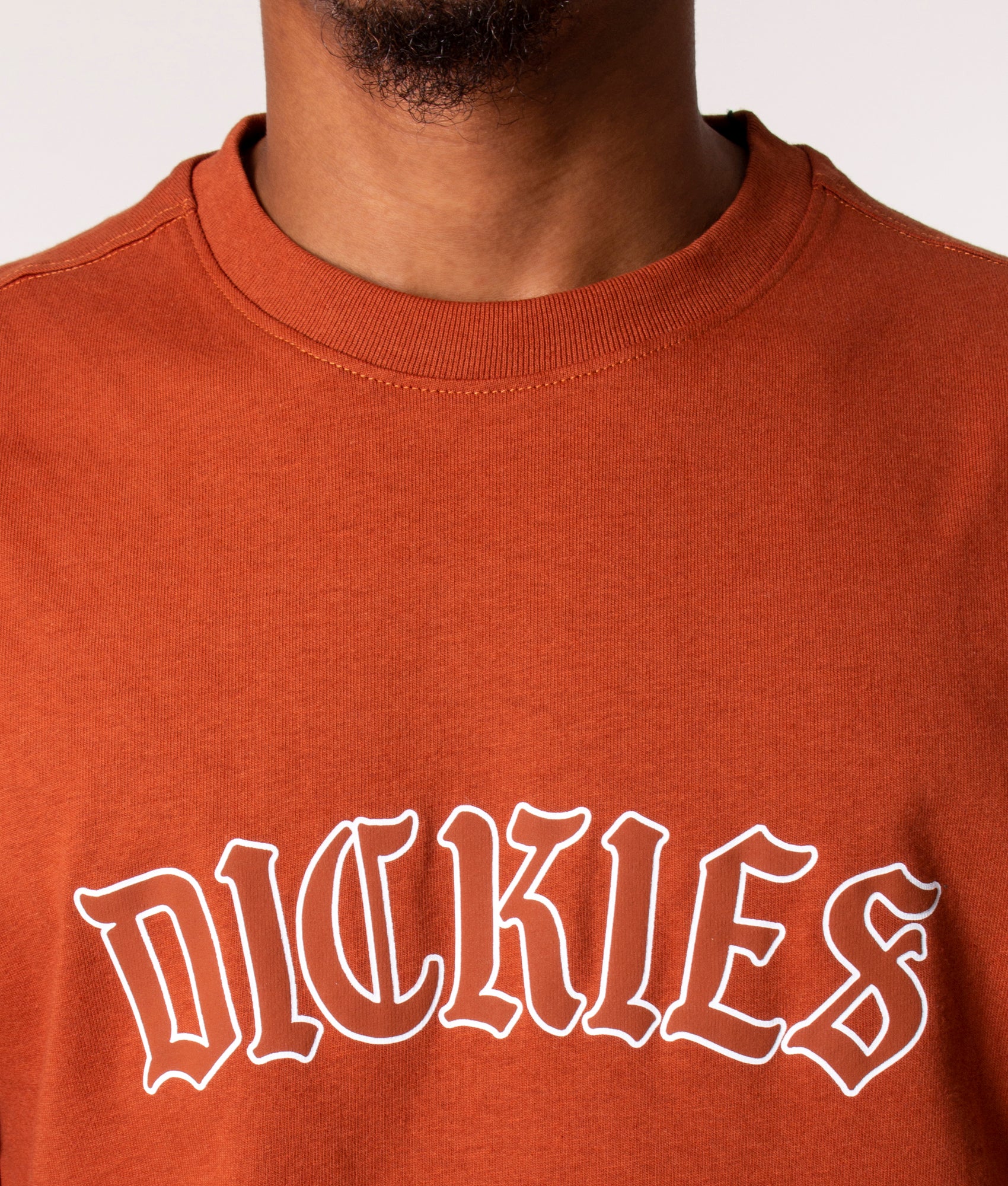 Relaxed-Fit-Union-Springs-T-Shirt-Gingerbread-Dickies-EQVVS