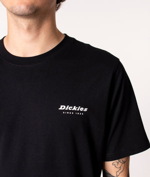 Dickies Camden Box T-Shirt in Black at EQVVS, Model, angle