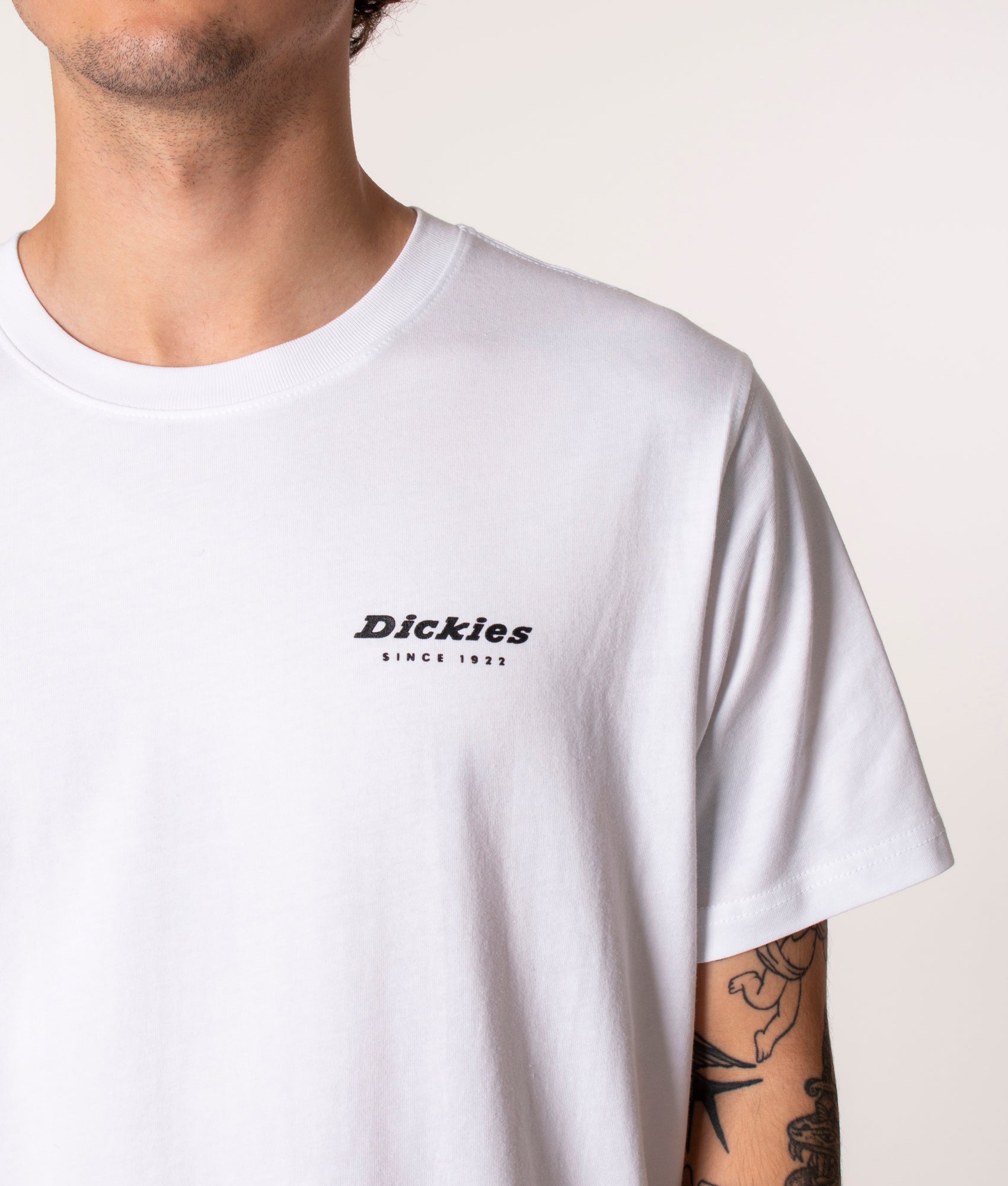Dickies Camden Box T-Shirt in White at EQVVS, Model, front detail