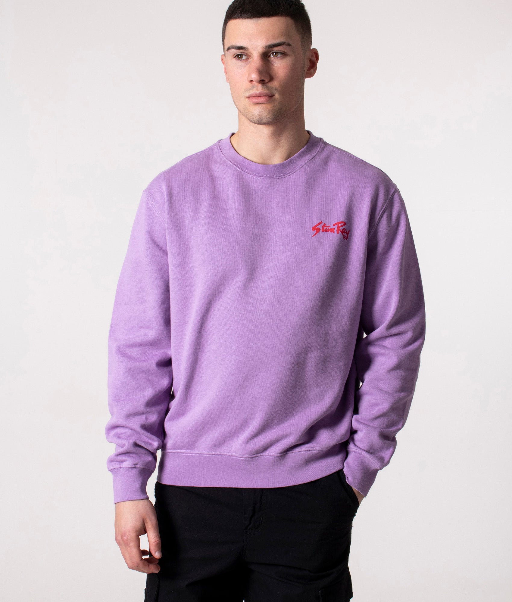 Stan-Sweatshirt-Dragon-Fruit-Stan-Ray-EQVVS