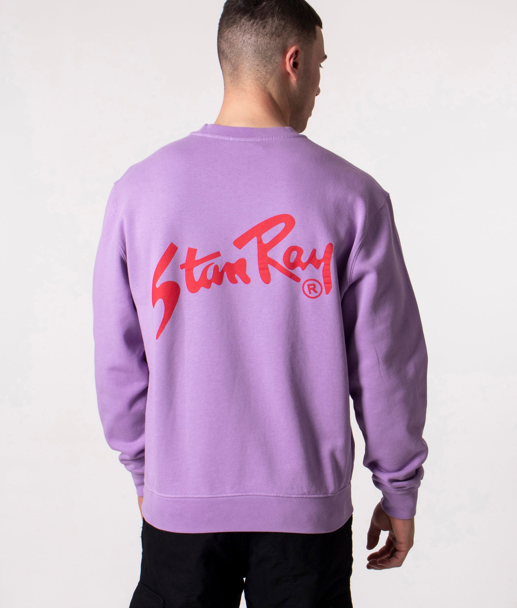 Stan-Sweatshirt-Dragon-Fruit-Stan-Ray-EQVVS