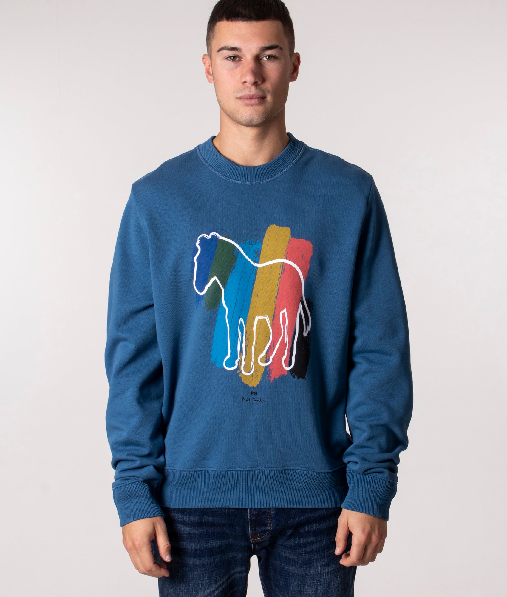 Regular Fit Broad Stripe Zebra Sweatshirt