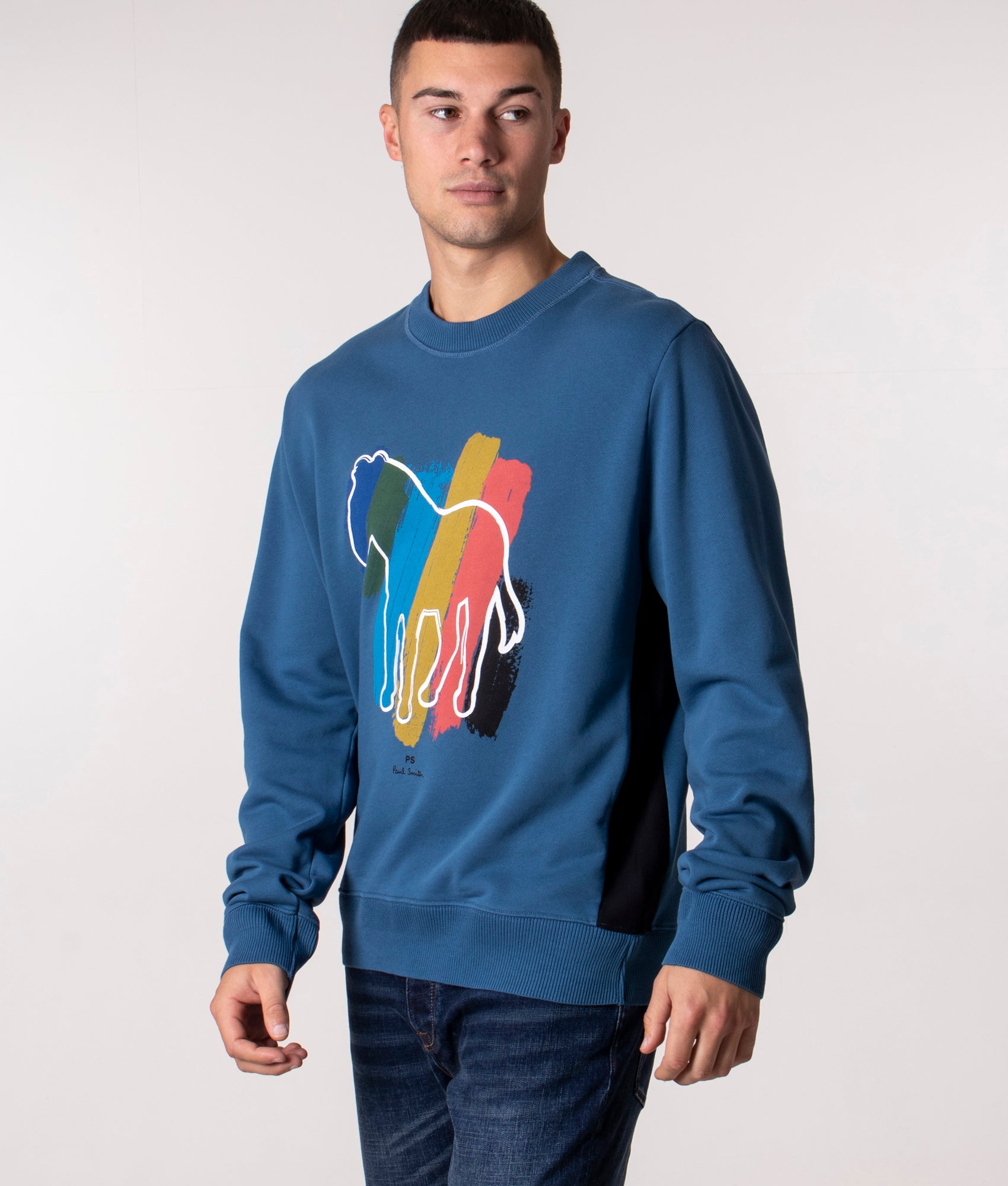 Regular Fit Broad Stripe Zebra Sweatshirt